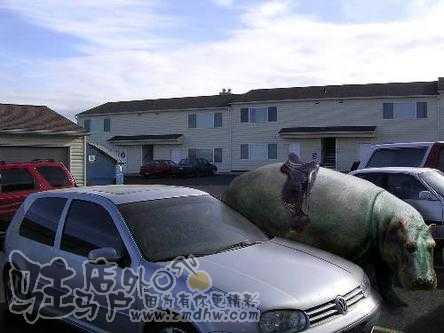 20071226_3d8293227815ced2f39eDB9ZdS2Ainw9.jpg