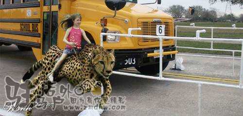 20071226_45baeca3e4e8f9f5cd4bitJLEflH9mgn.jpg