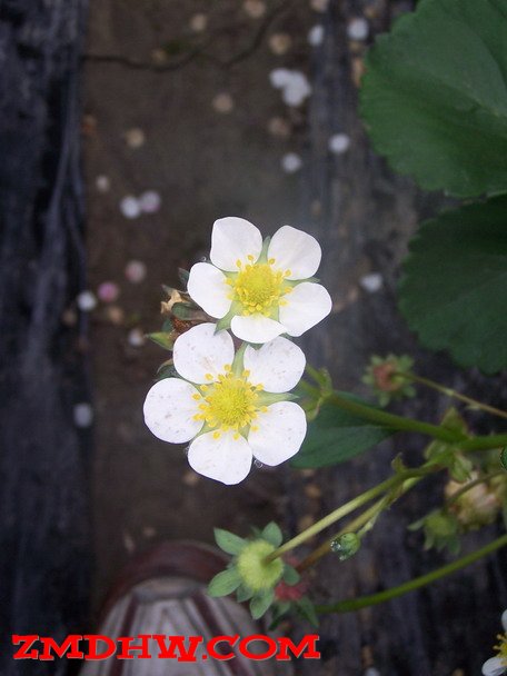 100_7175.jpg
