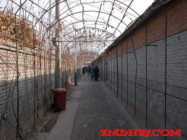 DSCN0002.JPG