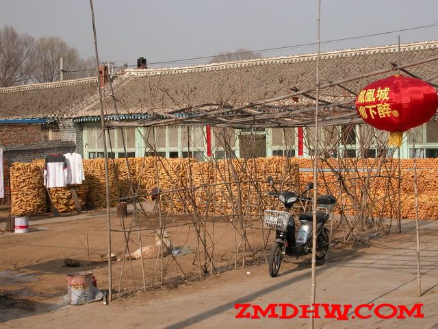 DSCN0019.JPG
