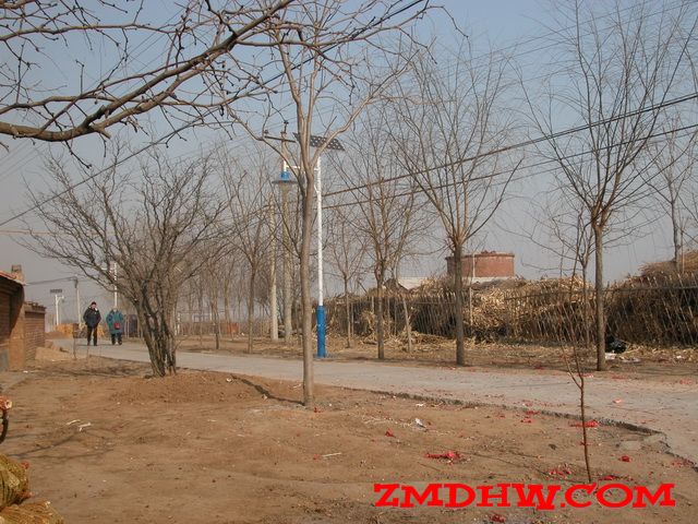 DSCN0020.JPG