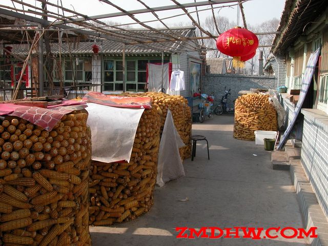 DSCN0012.JPG