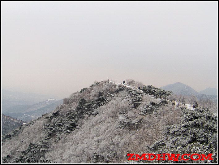 20090217_26bc8b357300e55730230puGgzT5MpKv.jpg