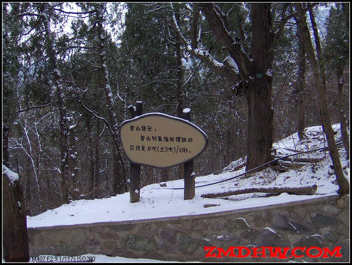 20090217_18ae4b456d068285720eRQYF5y9dMhsz.jpg