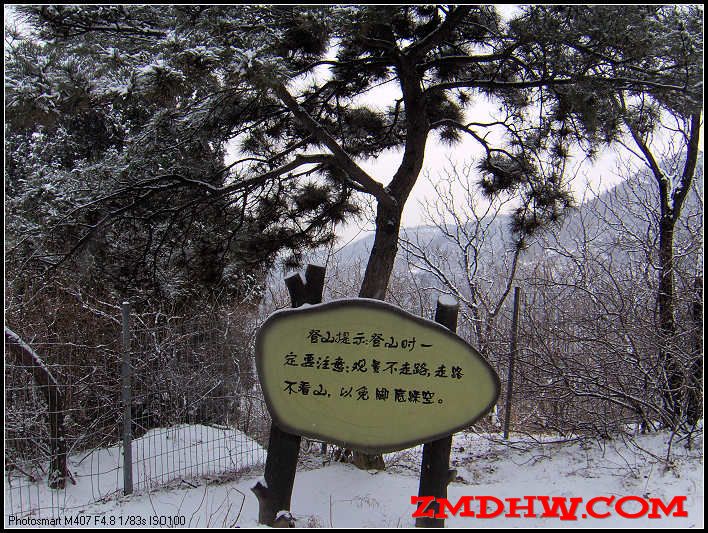 20090217_8049af81f7af1234a238RzacV77pDdxZ.jpg