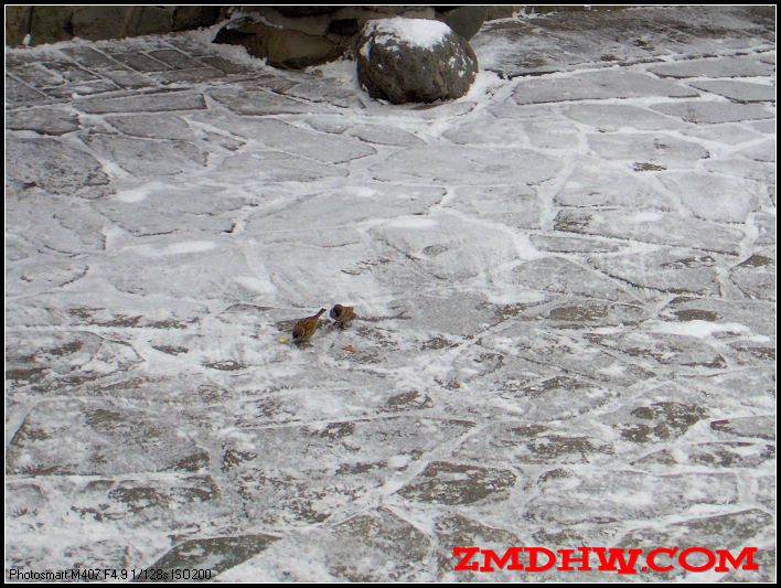 20090217_a1f07985b941acae65b0E907zrRBzmj7.jpg