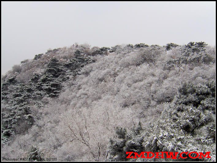 20090217_b98582b84b7854b7187bFAgHo30TvgdC.jpg