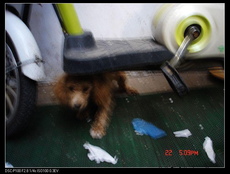 nEO_IMG_DSC00003.jpg