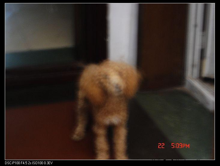 nEO_IMG_DSC00004.jpg