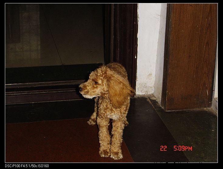 nEO_IMG_DSC00005.jpg