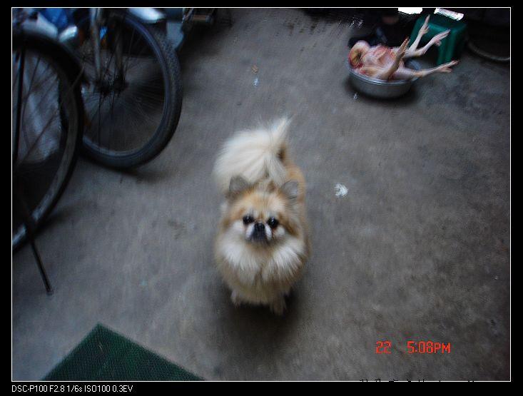 nEO_IMG_DSC00002.jpg