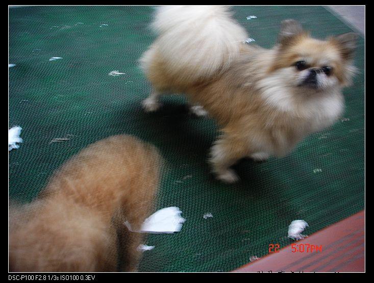 nEO_IMG_DSC00001.jpg