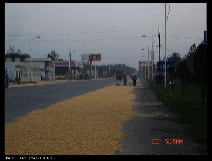 nEO_IMG_DSC00012.jpg