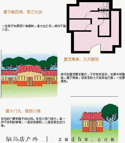 p_large_kCmF_6bbe0000a57a2d10.jpg