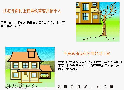 p_large_q1uC_4dff000074e22d0f.jpg