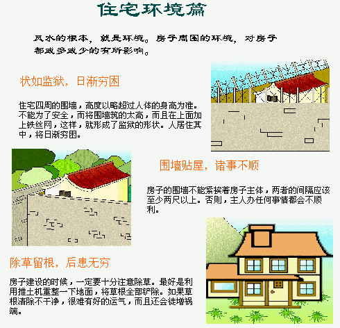p_large_Ptou_5086000047912d0c.jpg