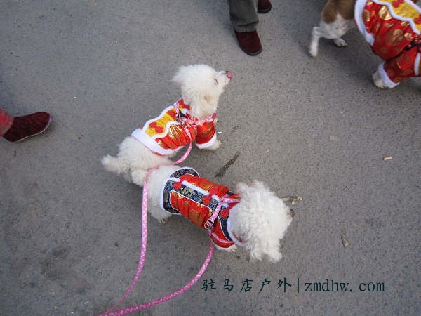 10022122271d6fc8bc086245db.jpg