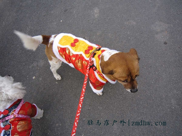1002212227069a8fe0d6e8efaf.jpg