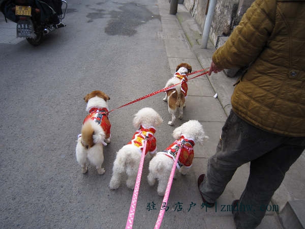 1002212226d0fde14ecfd2d57f.jpg
