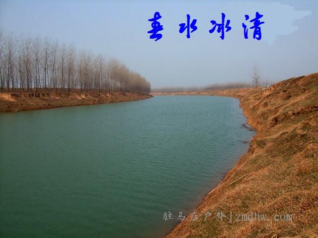ţB010.jpg