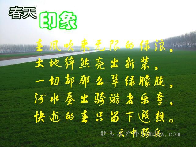 ţB008.jpg