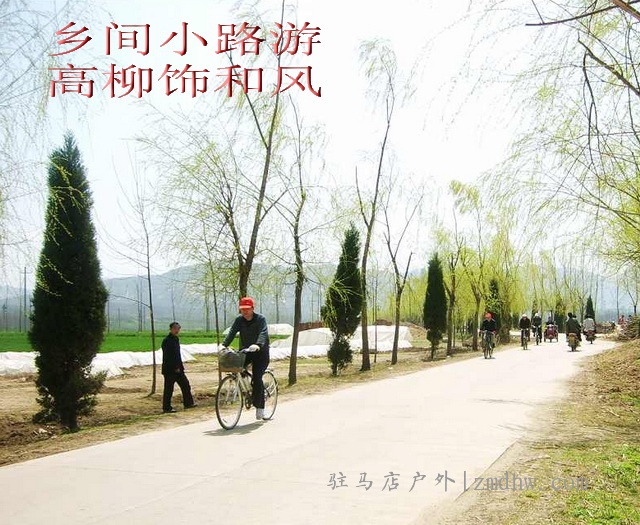 817.jpg