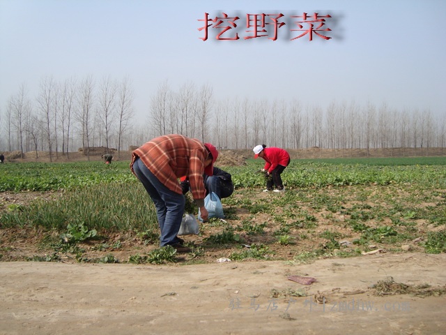 DSC00134.jpg