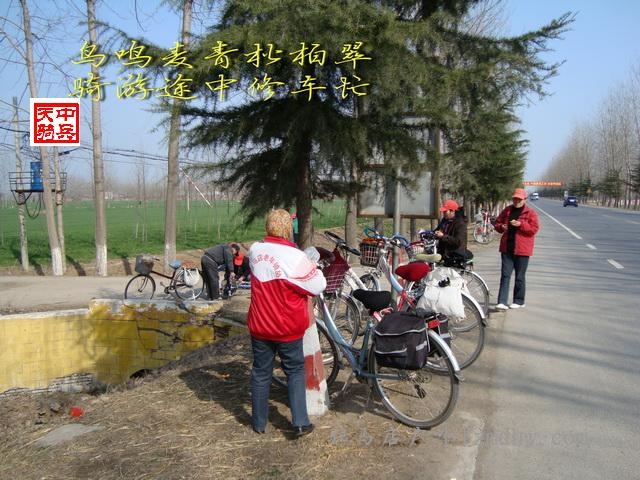 DSC01233.jpg