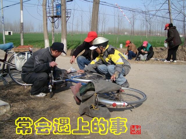 DSC01234.jpg