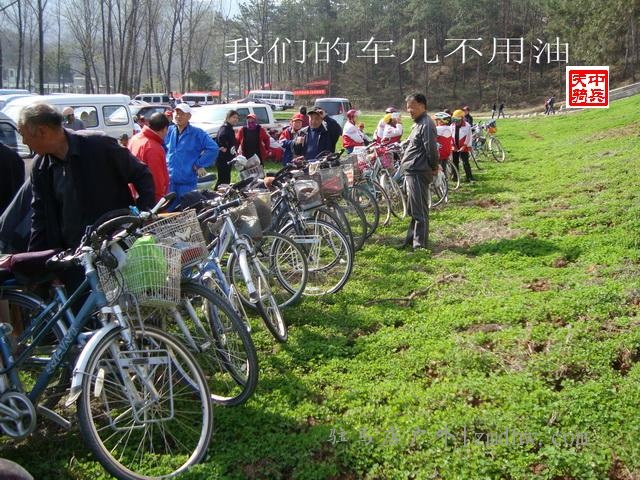 DSC01311.jpg